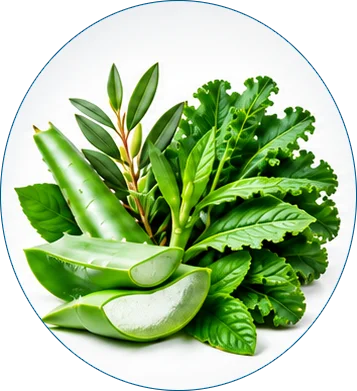 plant-sourced-ingredients-home-icon copy